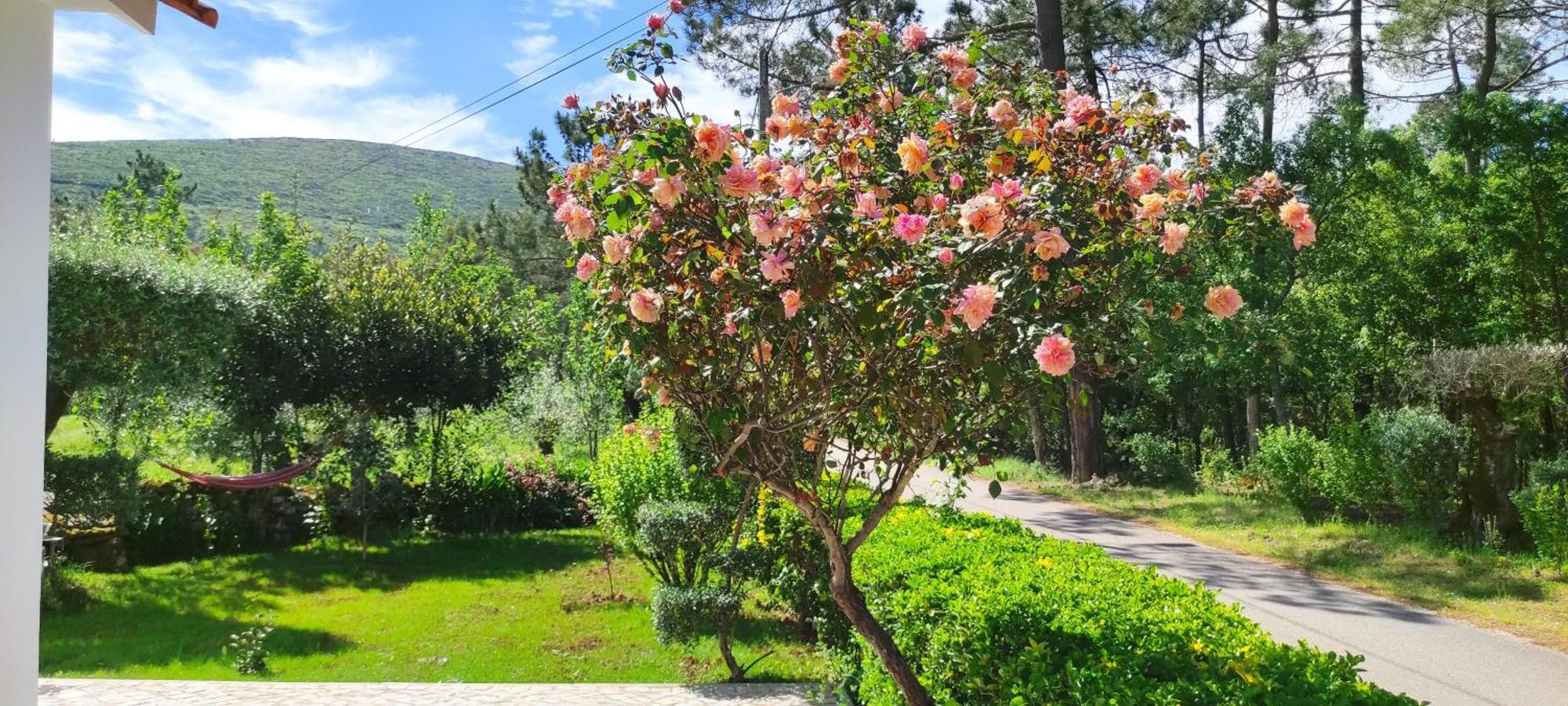 فيلا Casa Dos Vales 11 Porto de Mós المظهر الخارجي الصورة